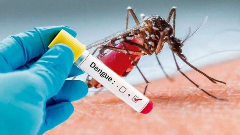 Michoacán reporta cuatro defunciones por dengue: SSM