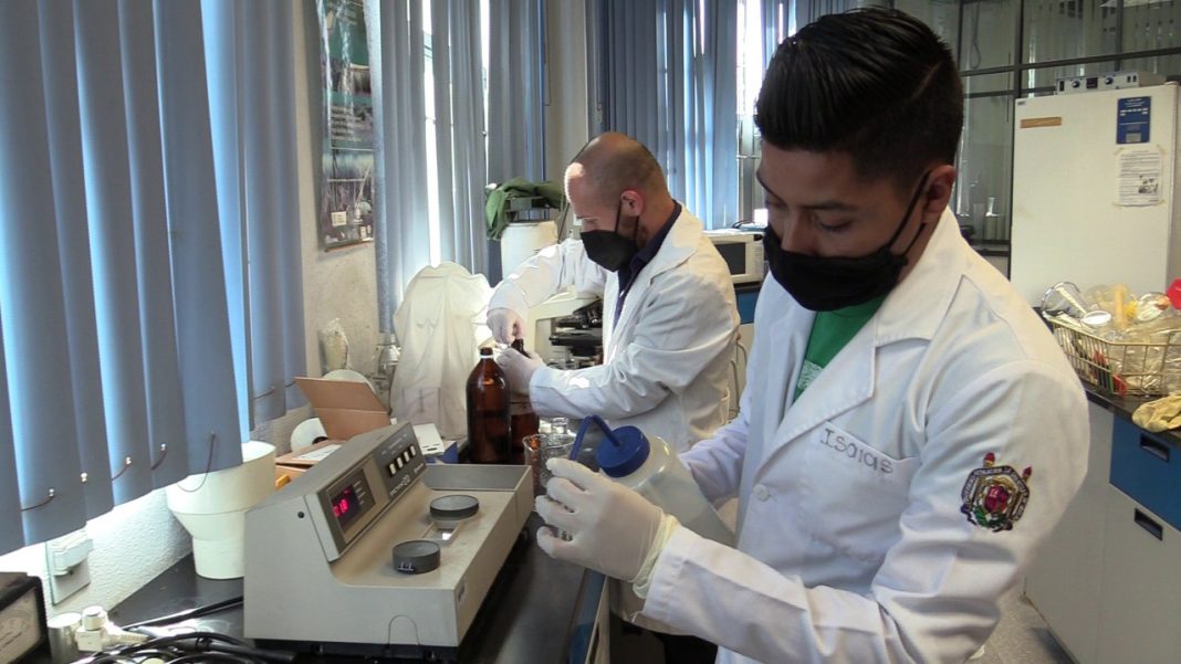 WhatsApp Image 2021-08-08 at 12.49.52-3