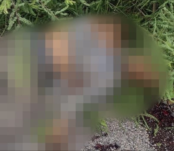 TARÍMBARO Hallan a hombre ejecutado en el municipio de Tarímbaro 2