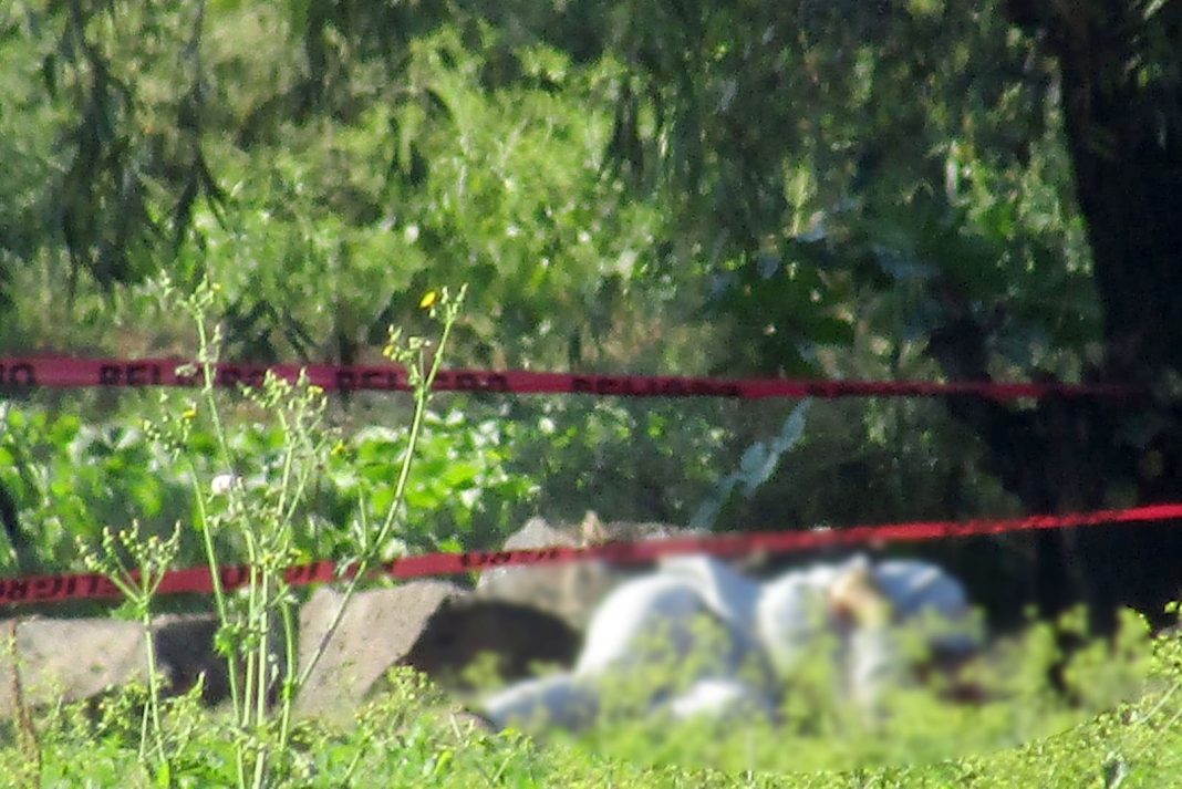 ZAMORA Localizan a una mujer asesinada en predios de La Estancia de Amezcua 1
