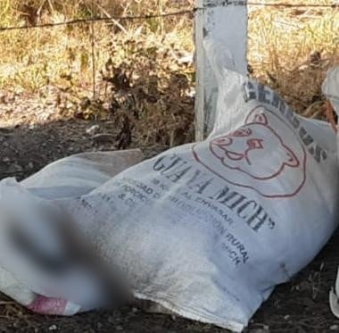 CUITZEO Localizan a 2 hombres descuartizados en el municipio de Cuitzeo 1