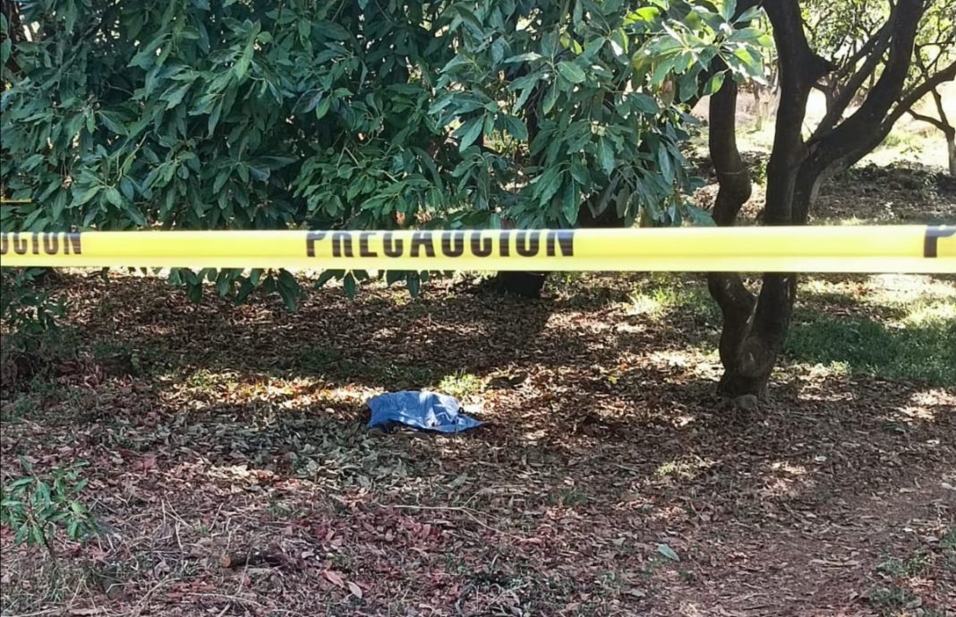 URUAPAN A machetazos ultiman a un hombre en Caltzontzin