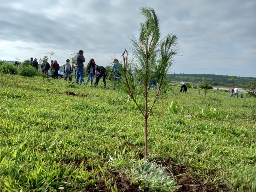 WhatsApp Image 2022-08-11 at 11.37.31 AM