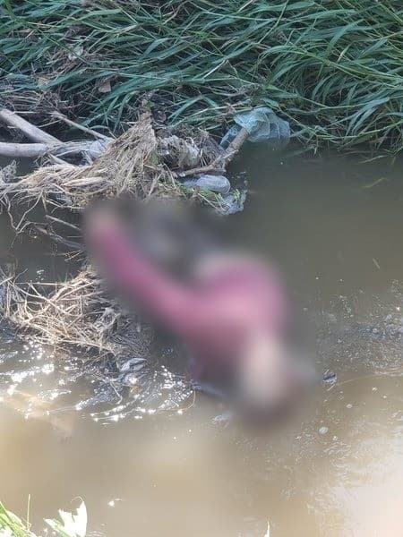 APATZINGÁN Hallan a hombre ahogado en arroyo tras tromba en Apatzingán 2