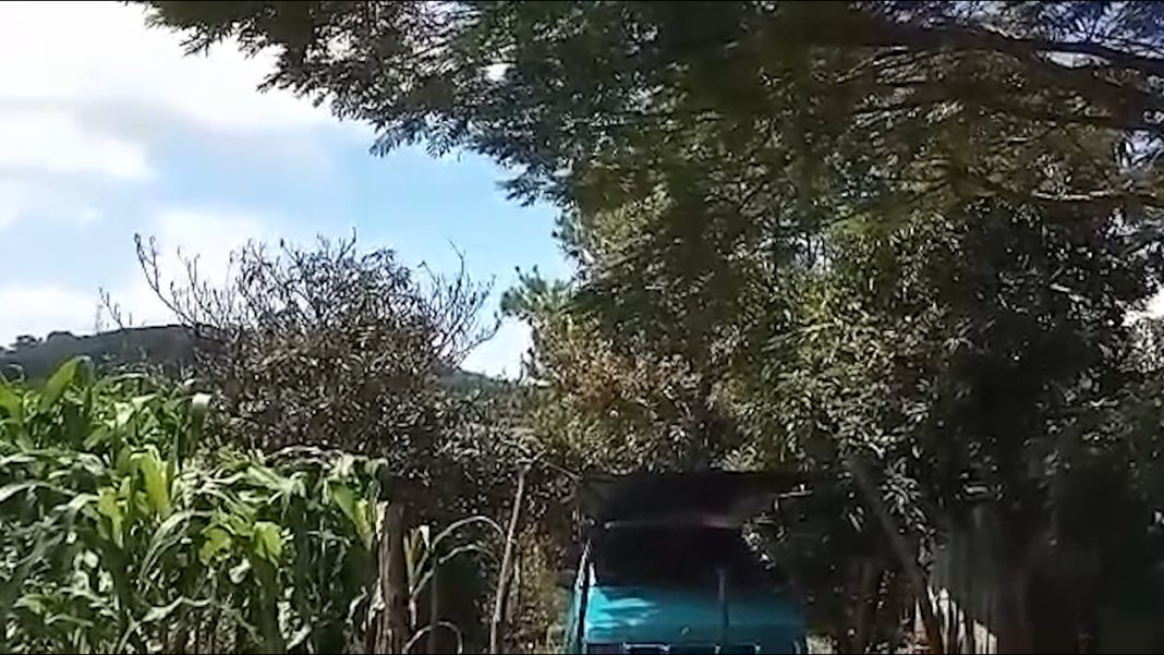 URUAPAN AVANCE Reportan fuerte enfrentamiento entre civiles en los límites de Uruapan con Gabriel Zamora