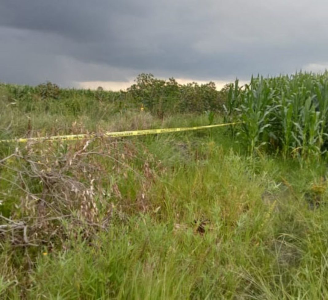 CHURINTZIO Localizan a dos asesinados en La Noria municipio de Churintzio 1