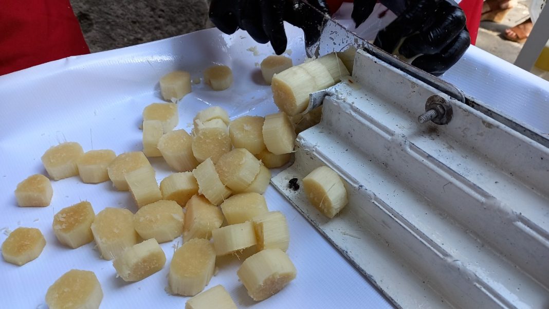 WhatsApp Image 2022-12-01 at 12.59.46 PM