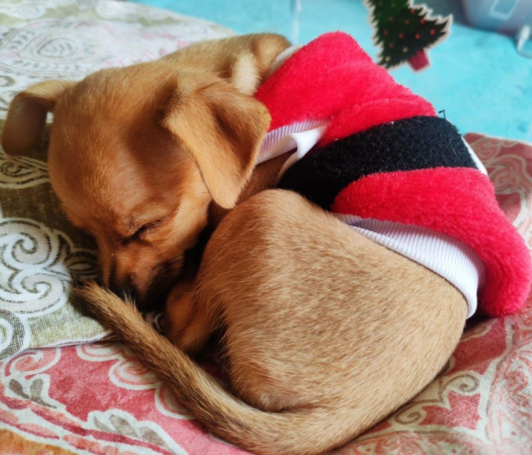 WhatsApp Image 2022-12-23 at 4.18.21 PM