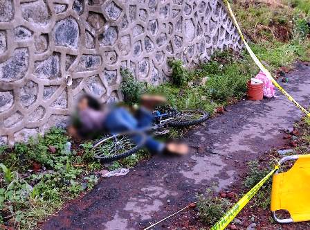 vehículo desconocido arrolla 1706 vehículo desconocido arrolla 1706