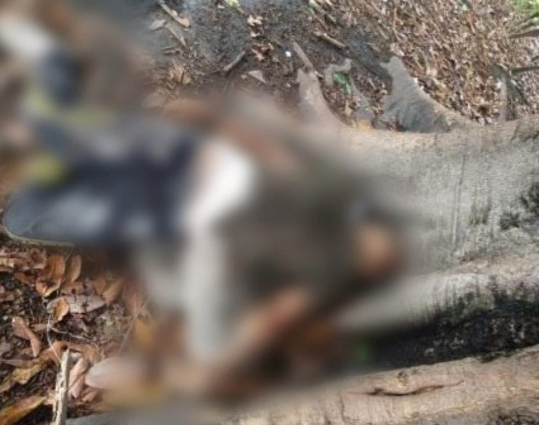 APATZINGÁN Encuentran a hombre amarrado junto a un cadáver