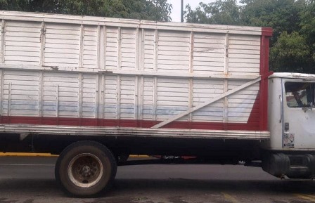 ssp tracto camiones 0109