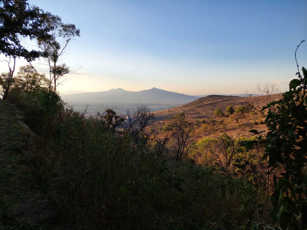 CERRO QUINCEO CONSULTA