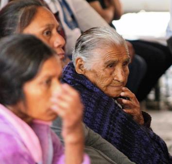 sedebi cancer 1504 sedebi cancer 1504