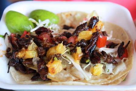 ayunta tacos 1704 ayunta tacos 1704