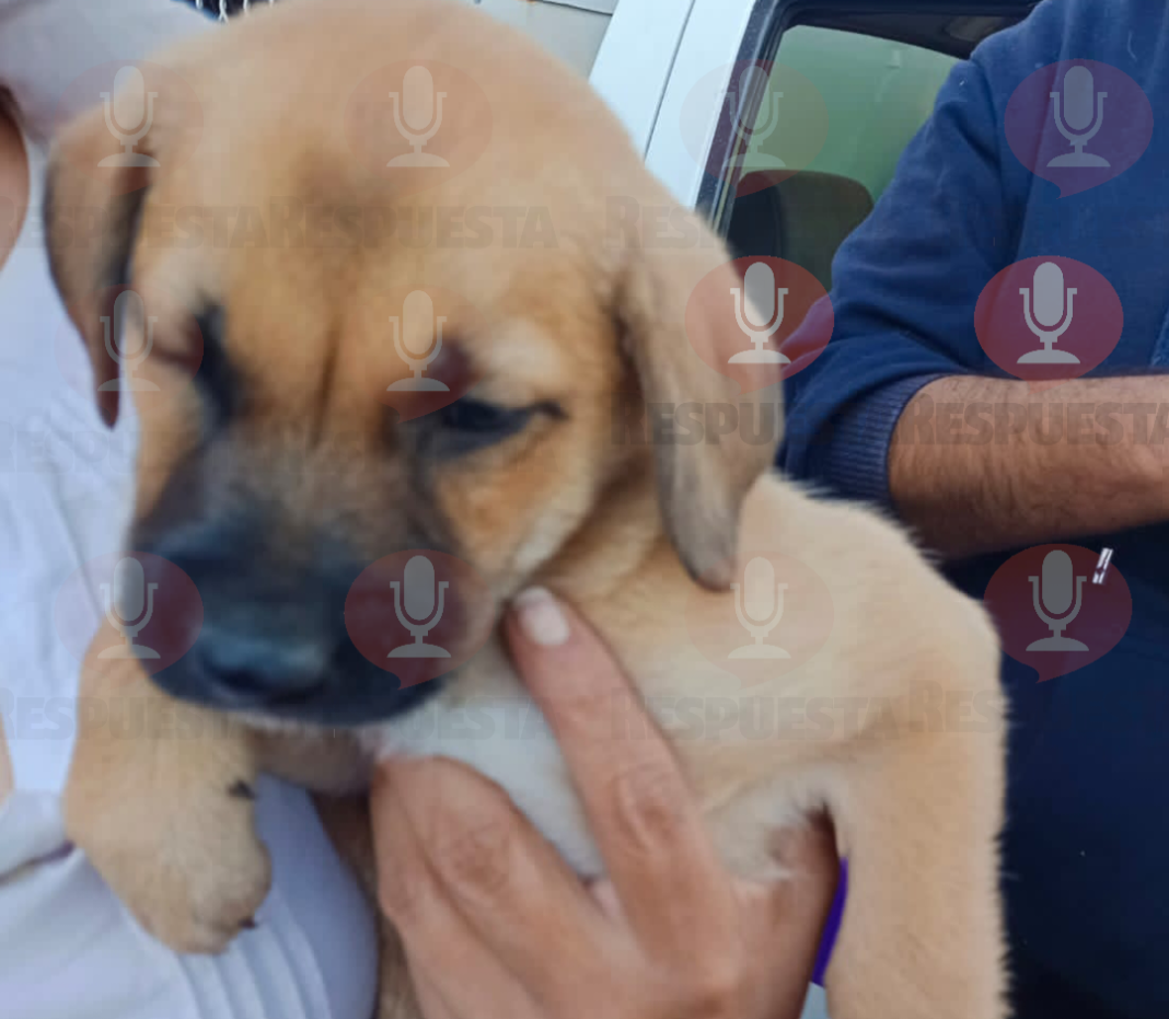 PhotoRoom-20230105 165010