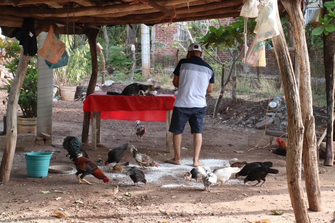 APATZINGÁN Comienza retorno de desplazados a sus hogares en Tierra Caliente 10