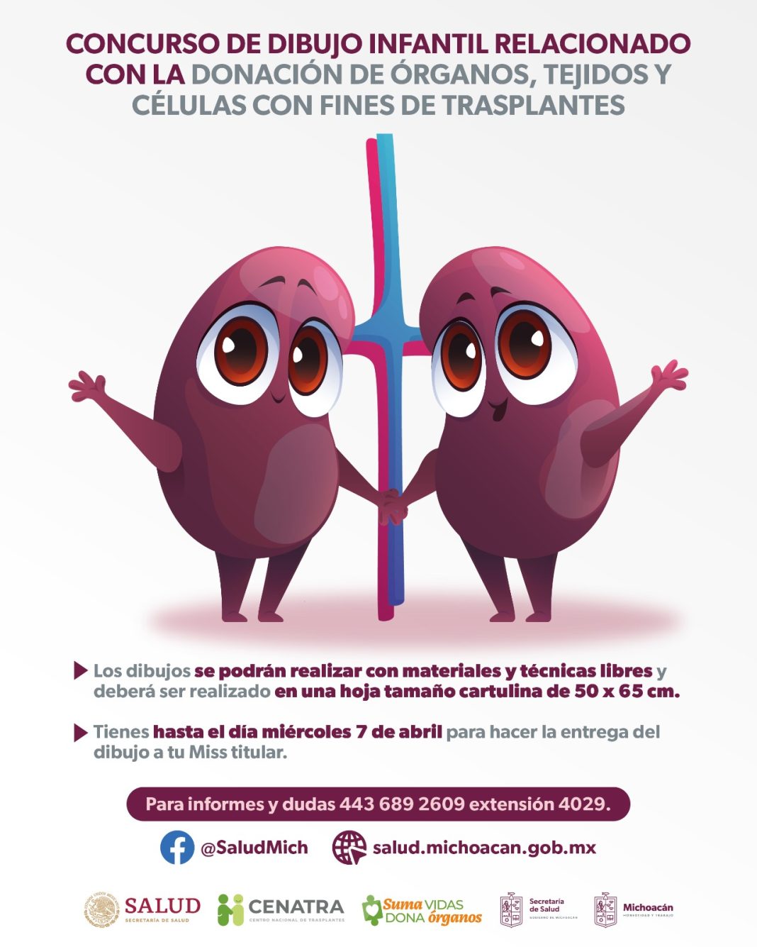 ORGANOS CONC
