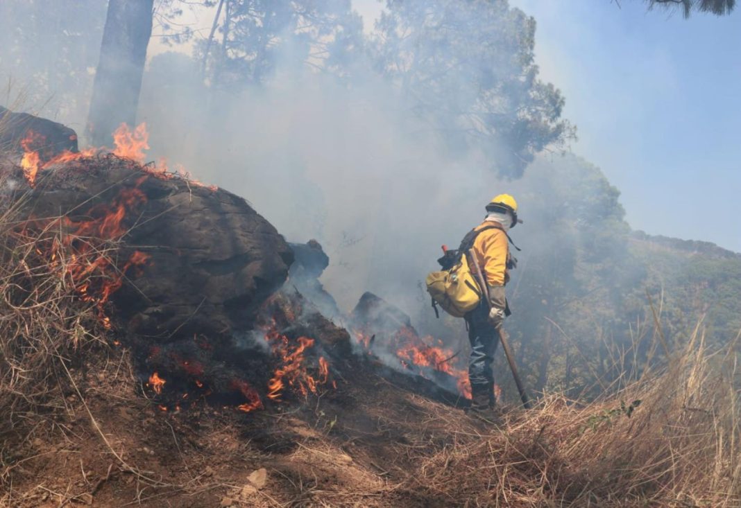 INCENDIOS FOREST