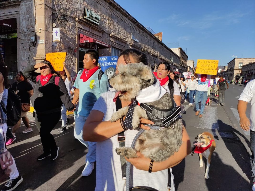 ANIMALES 1 250323