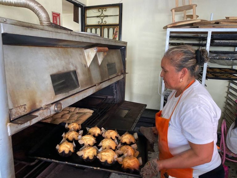 Autonomía económica rompe el ciclo de la violencia de género: Seimujer