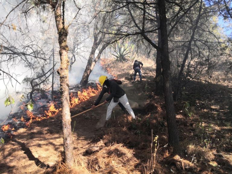 Más de 300 brigadistas trabajan en las quemas forestales activas