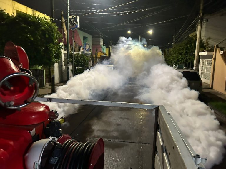 Durante el sexenio federal se dejó de fumigar contra el dengue