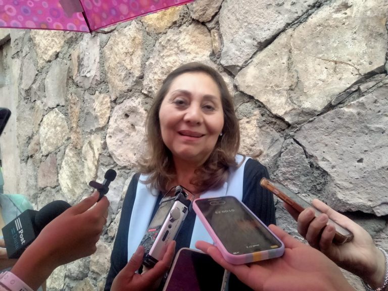 María del Refugio Cabrera, lideresa estatal del PAN, no buscará reelección