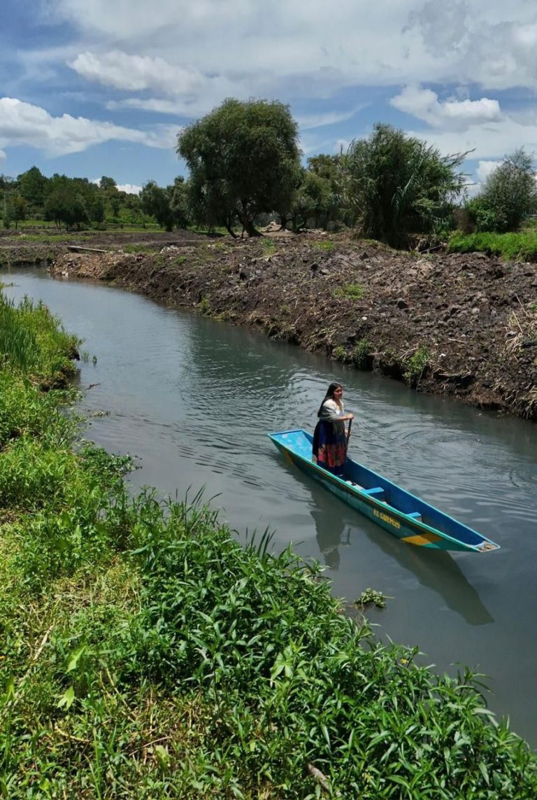 Cobrarán 50 pesos por visitar manantiales de lago de Pátzcuaro