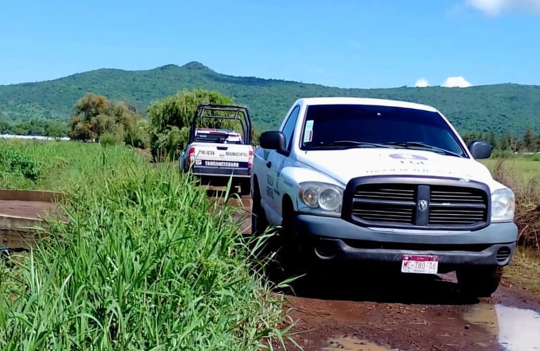 Esposos son brutalmente golpeados en predio agrícola; el hombre murió