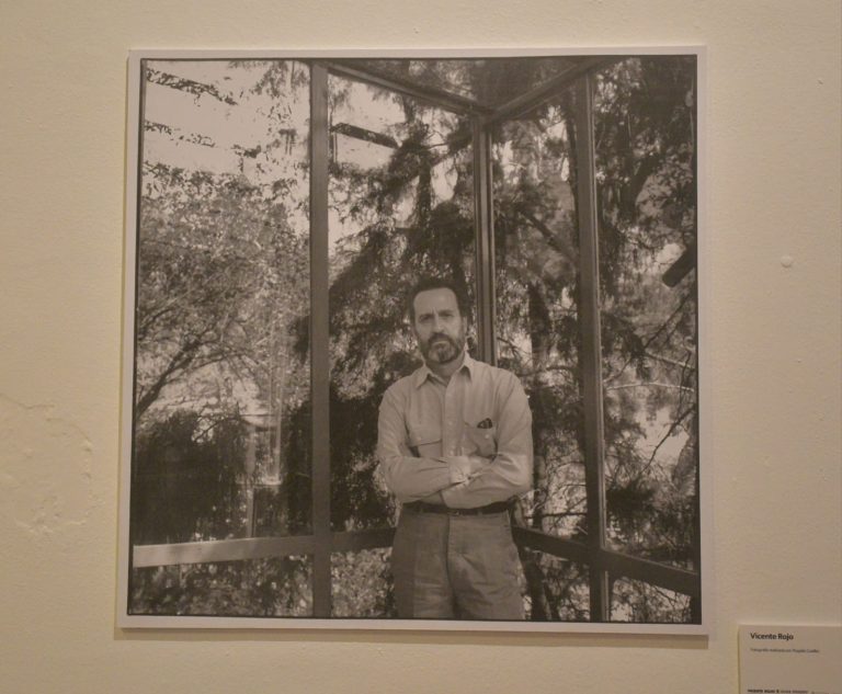 ¿Qué movimiento inspiró a Vicente Rojo y por qué es un referente del arte moderno en México?