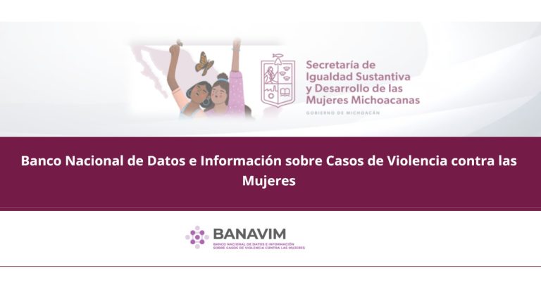Conoce la plataforma que registra casos de violencia contra las mujeres
