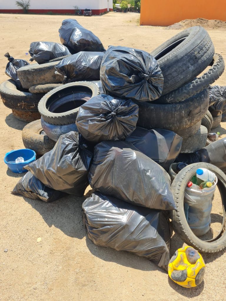 Recolectas 147 toneladas de cacharro para prevenir el dengue: SSM