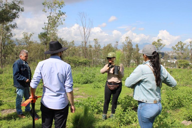 Realizan reforestación de Áreas Naturales Protegidas