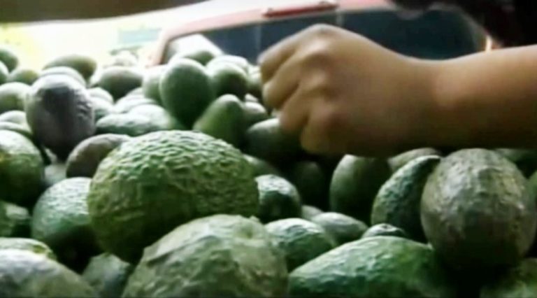 Michoacán deberá de prepararse en lo comercial ante llegada de Trump