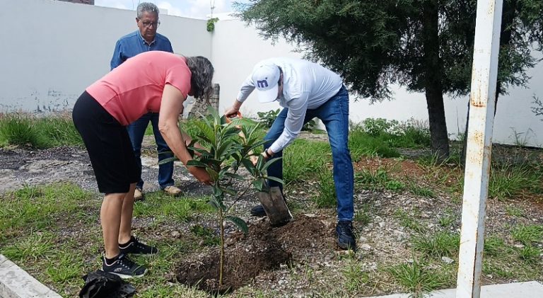 Cambio climático y sequía han traído grandes afectaciones en reforestaciones de años anteriores