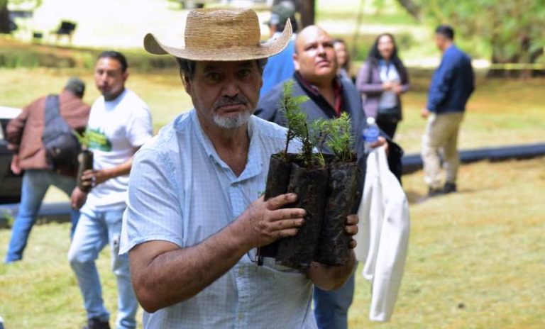 Arranca plantación de dos mil árboles en área protegida de Los Azufres