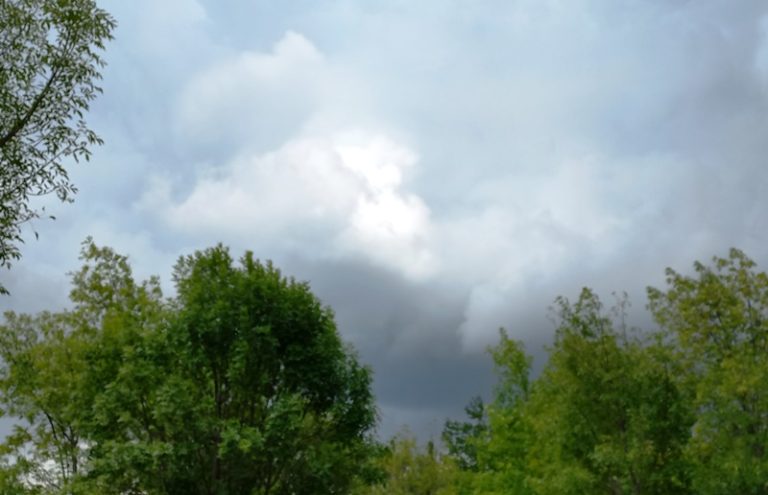 Captación de agua de lluvia en los hogares, una forma de mitigar futura temporada de estiaje y cambio climático