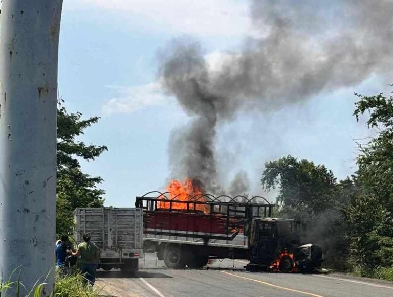 Desconocidos incendian camión de carga en los límites de Colima y Michoacán
