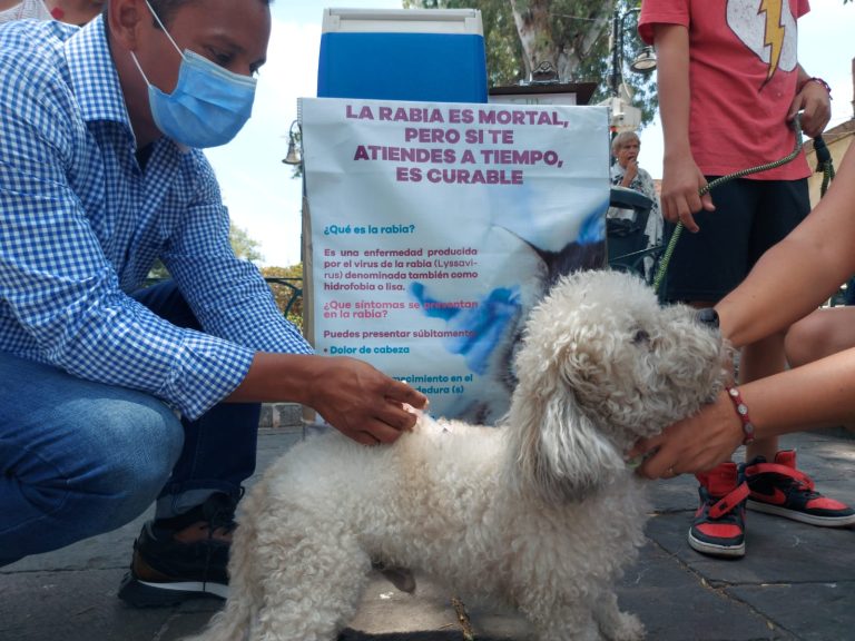 Continúa vacunación antirrábica canina y felina en el Centro de Morelia