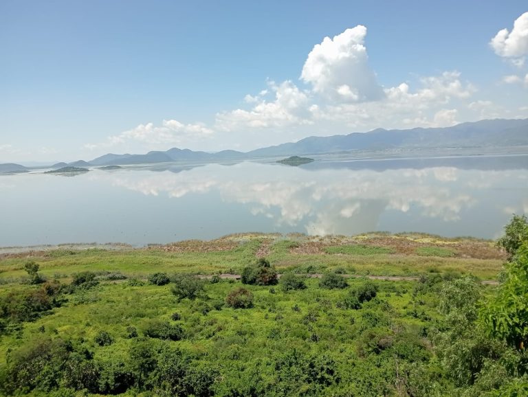 Sembrarán 200 mil crías de tilapia en el lago de Cuitzeo