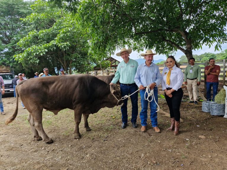 Sader fortalece producción de leche y carne en Coalcomán