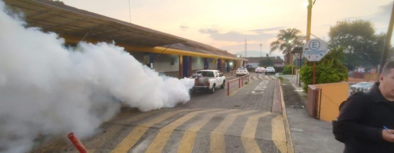 Realizadas 810 mil acciones de combate al dengue: SSM