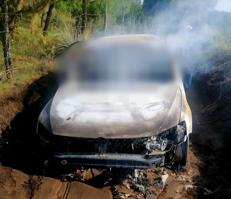 Localizan dos cadáveres en auto calcinado en brecha de Uruapan
