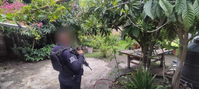 Enjambre de abejas hiere a 2 personas en Cuamio, Cuitzeo