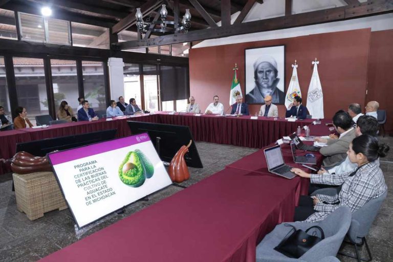 Expone Bedolla a directivos de APEAM certificación voluntaria para evitar deforestación por cultivo de aguacate