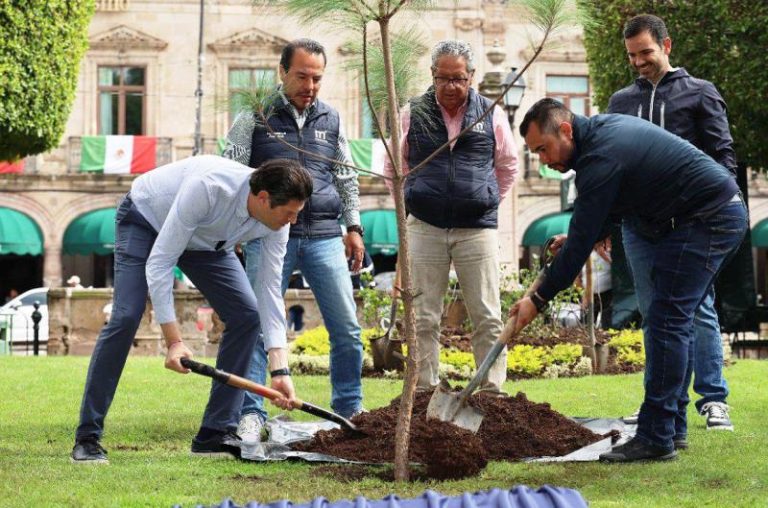Alfonso Martínez planta el árbol «un millón» en Morelia
