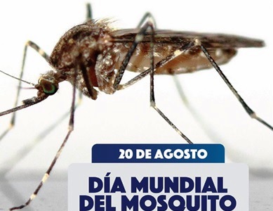 20 AGOSTO