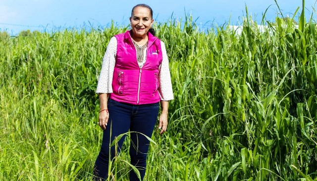 Se precisan acciones efectivas para devolver a Michoacán su vocación forestal: Julieta Gallardo