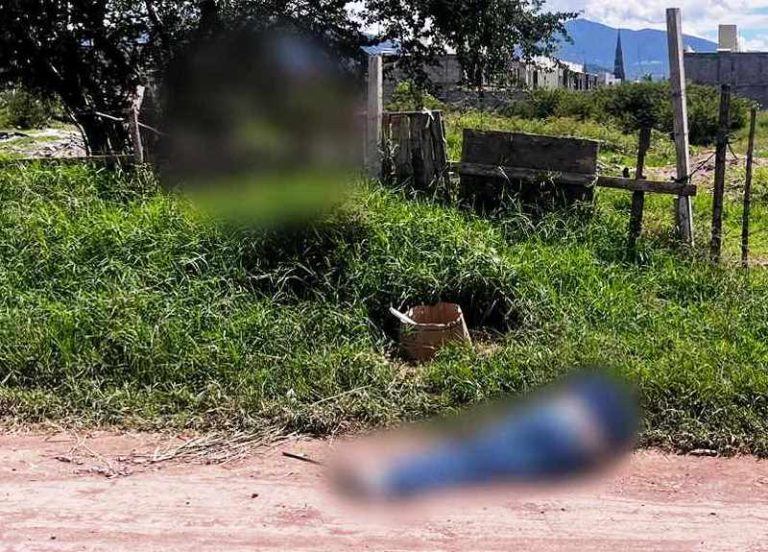 Hombre es ultimado con varios disparos en la cabeza, en la ciudad de Zamora