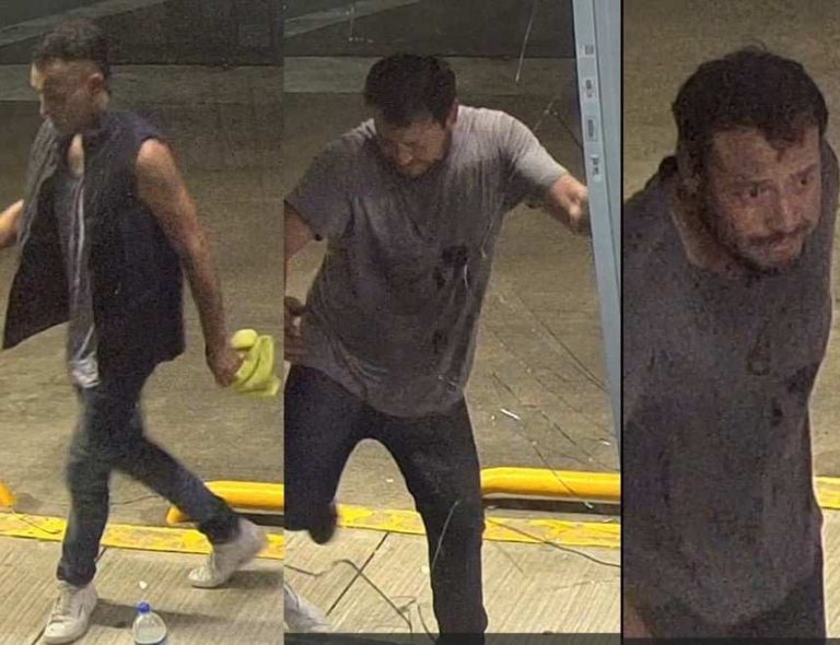 Delincuentes cristalean Oxxo y roban mercancía, en Arboledas Valladolid en Morelia